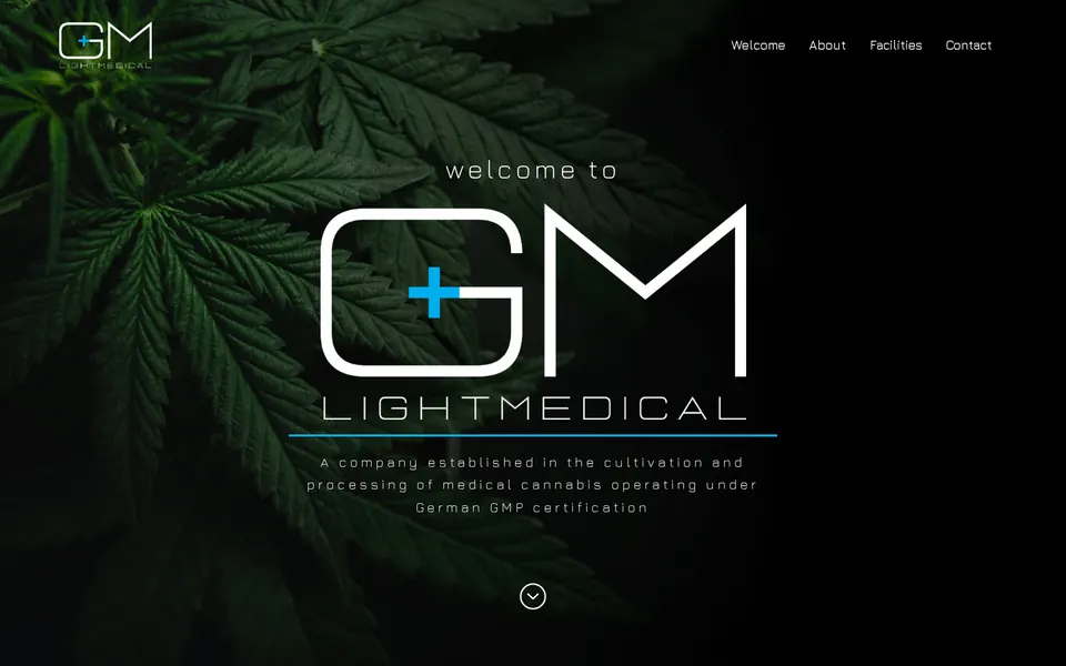 GM Light Medical